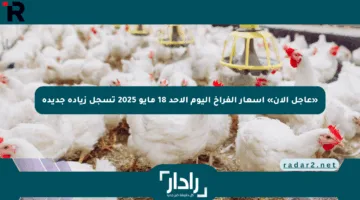 «عاجل الآن» أسعار الفراخ اليوم الأحد 18 مايو 2025 تسجل زيادة جديدة